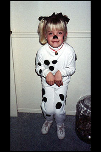 <dalmation puppy dog>